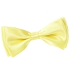 _Noeud-papillon-jaune-napoli-dandytouch