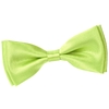 _Noeud-papillon-vert-anis-dandytouch