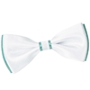 _Noeud-papillon-bicolore-blanc-vert-eau-dandytouch