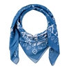 AT-06456_F12-1--_Foulard-femme-graphique