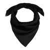 AT-04915_F12-1--_Bandana-noir