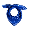 AT-06773_F12-1--_foulard-carre-soie-pois-bleu