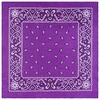 Bandana-cheveux-coton-violet--AT-06965