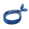 Bandana-us-elegant-bleu-roi--AT-06968_F12-1--