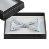 ND-00158_E12-1--_CIEL_Noeud-papillon-petites-fleurs-gris-bleu-ciel