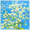 Carre-de-soie-reproduction-van-gogh-amandiers-en-fleurs--AT-01962_A12-1--