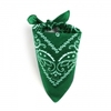 bandana-vert-fonce-AT-02217--F16