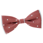 _Noeud-papillon-pois-argent-cuivre
