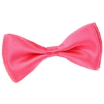 _Noeud-papillon-rose-exotique-dandytouch