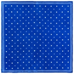 Carre-de-soie-bleu-a-pois--AT-06773_A12-1--