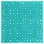 Carre-soie-pois-aqua--AT-06774_A12-1--