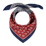 Petit-carre-soie-motif-paisley-rouge-bordeaux--AT-06834_F12-1--