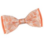 ND-00159_A12-1--_ORANGE_Noeud-papillon-petites-fleurs-orange