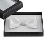 ND-00156_E12-1--_ARGENT_Noeud-papillon-cachemire-argent