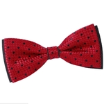 Noeud-papillon-pois-rouge-noir--ND-00127_A12-1--