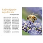 La-sante-par-les-abeilles-Bienfaits-et-limites-de-l-apitherapie-ulmer-2