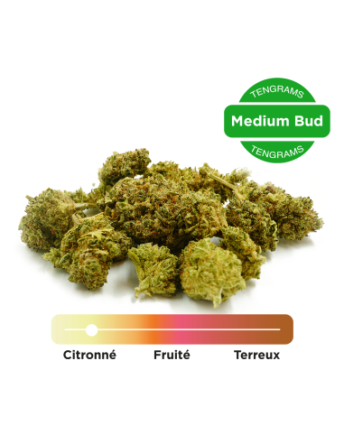 tengrams-limoncello-greenhouse-2g (2)