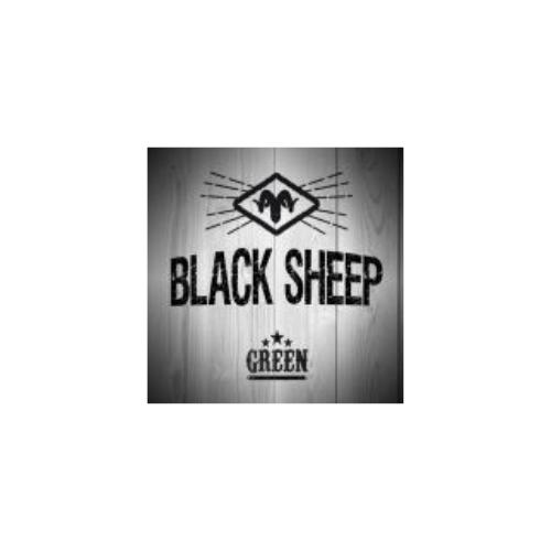 BLACK SHEEP