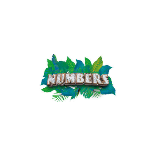 NUMBERS