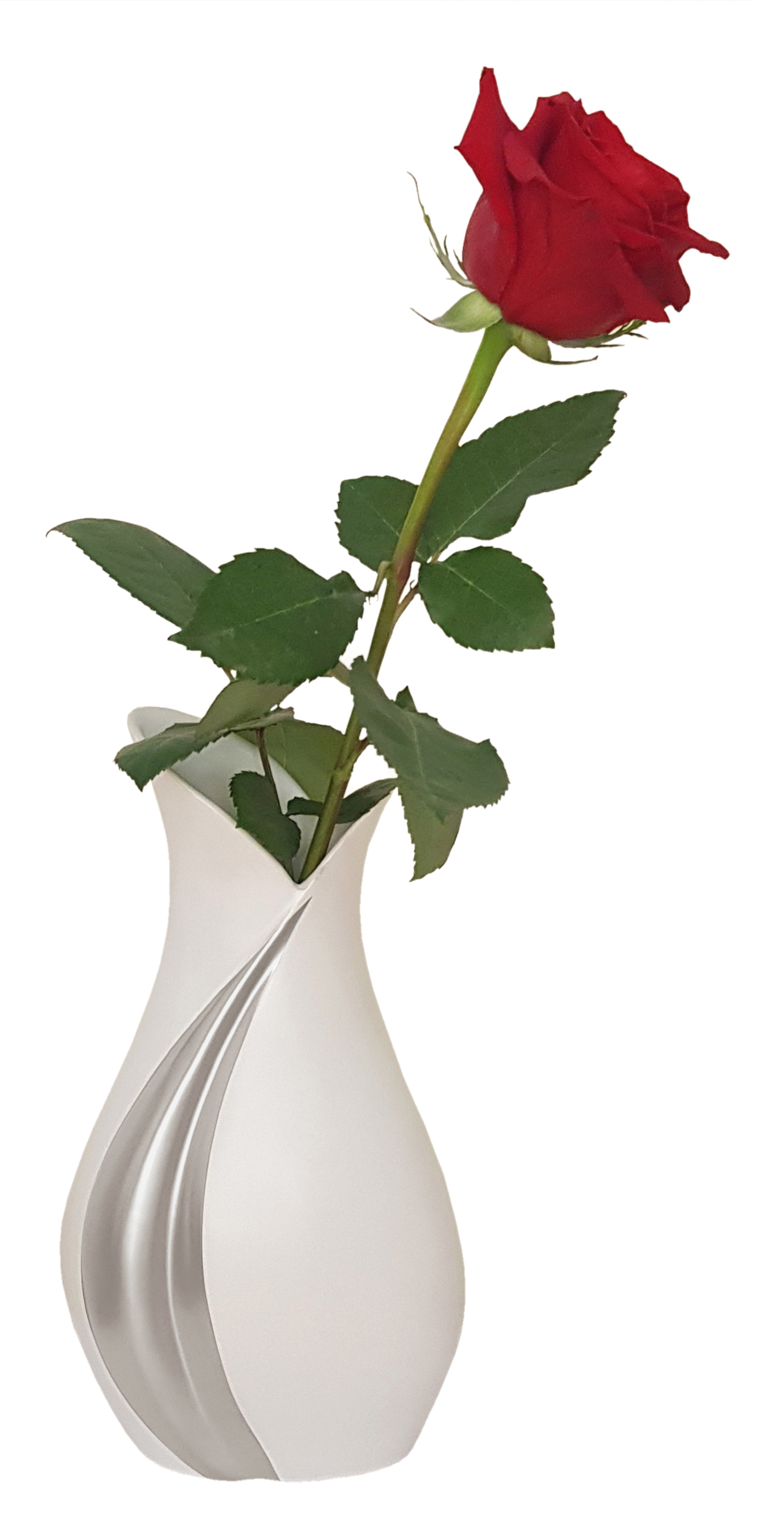 Vase design avec rose 250623 VF