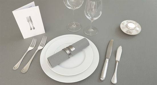 Nappe grise MES Photo Newsletter largeur 550