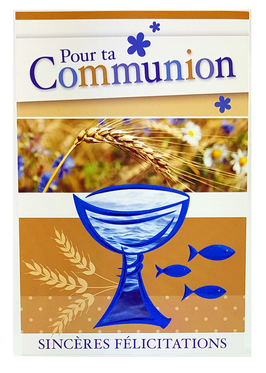 Carte De Menu Communion Garcon Ref 55 Cartes De Menus A Themes Premiere Communion Dianne Style