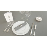 Nappe grise MES Photo Newsletter largeur 550