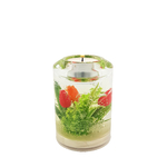 bougeoir déco printemps