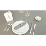 Nappe grise MES Diaporama hauteur 550 sans bord blanc