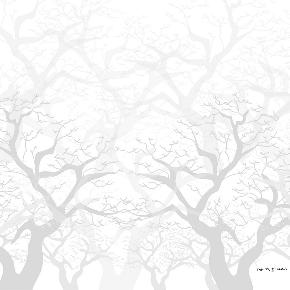 8445142316633-s2805265-p3-v-1