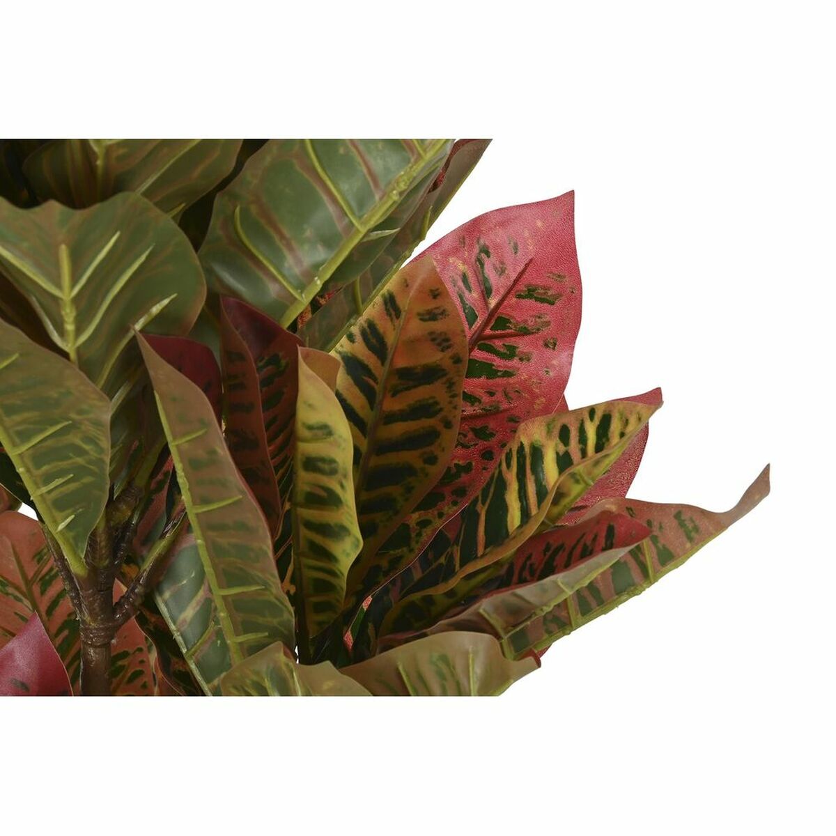 8424001942237_S3030601_P03