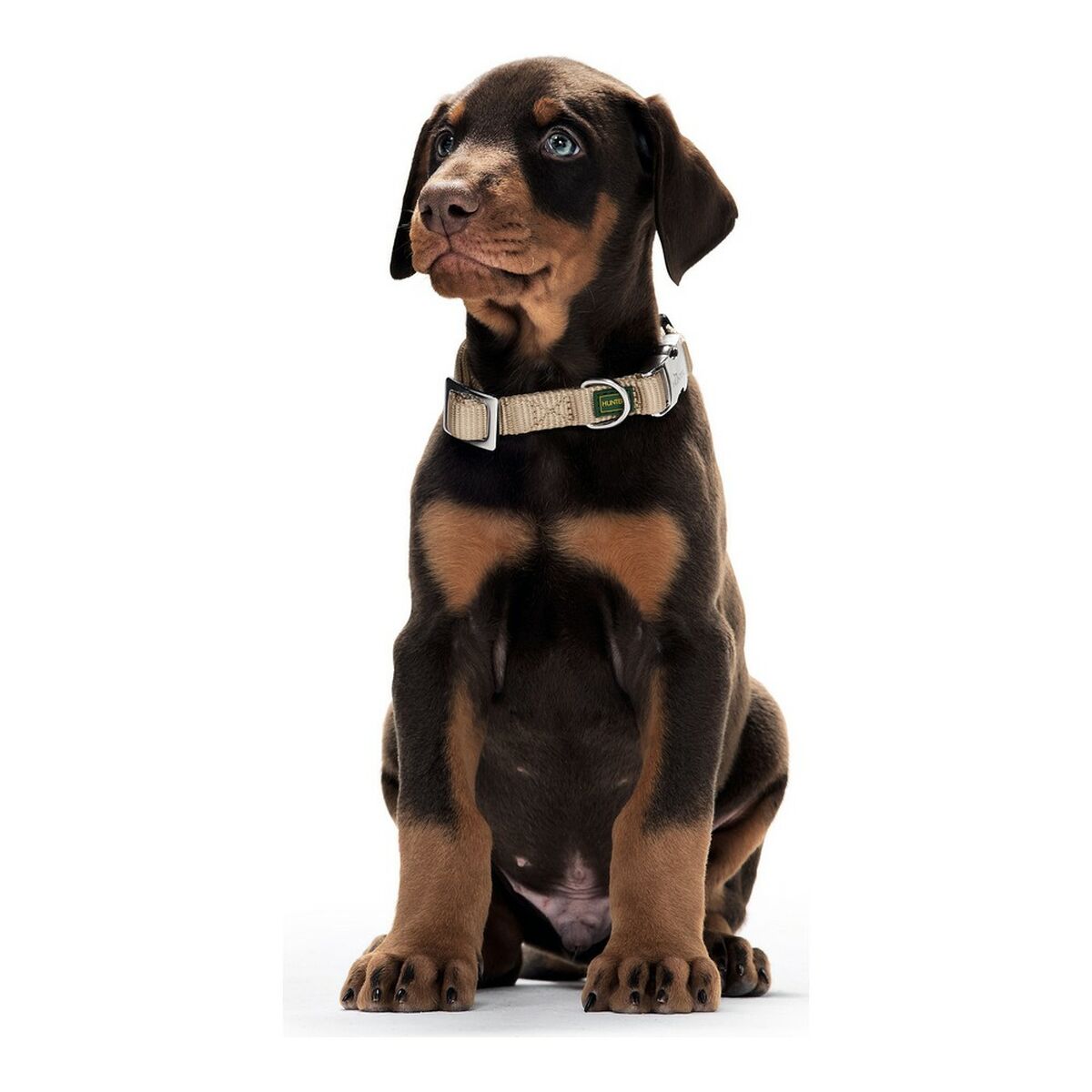 4016739478771_S6101424_P0_WBG2
