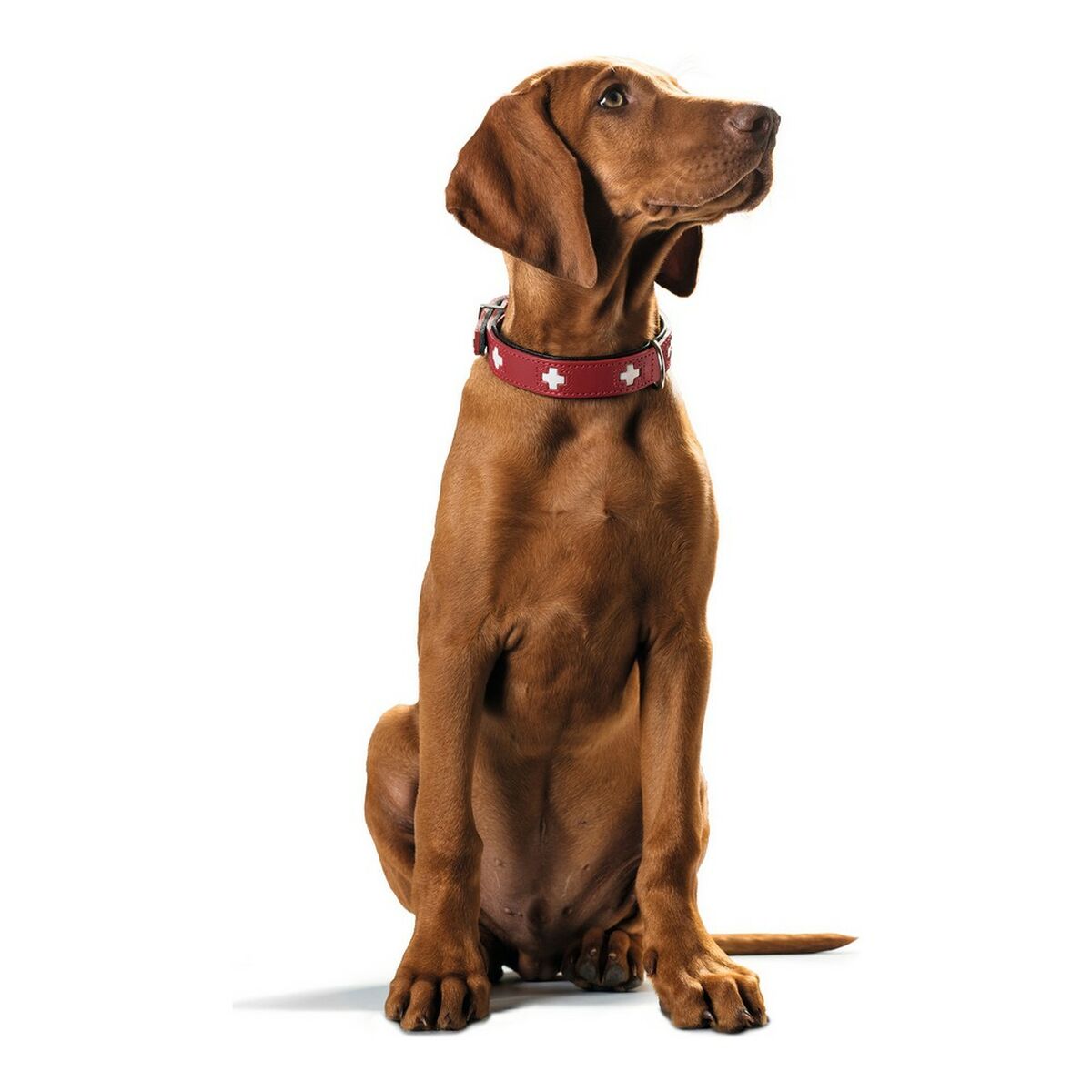 4016739421586_S6102886_P2_WBG2