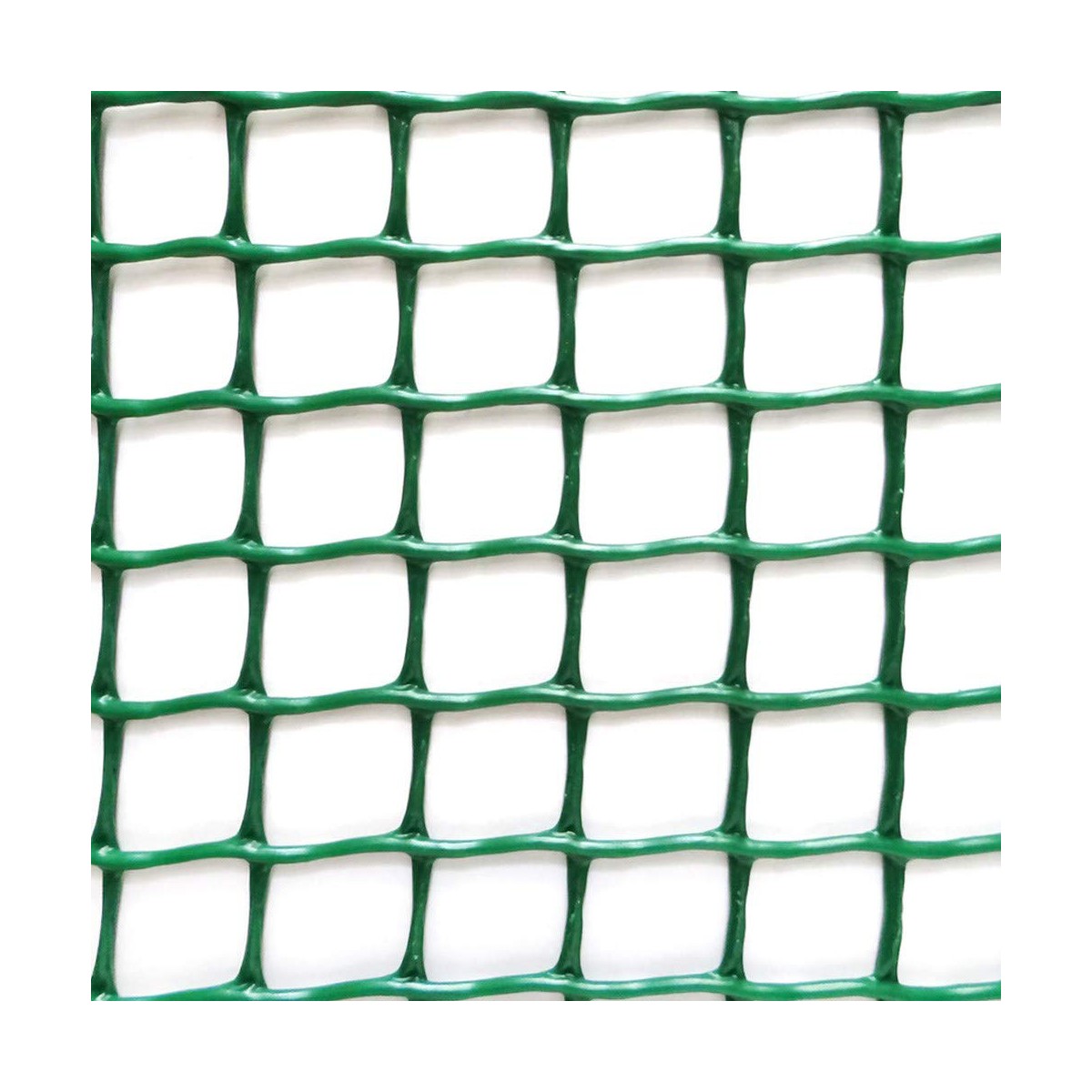 8413246040136_R0_WBG1