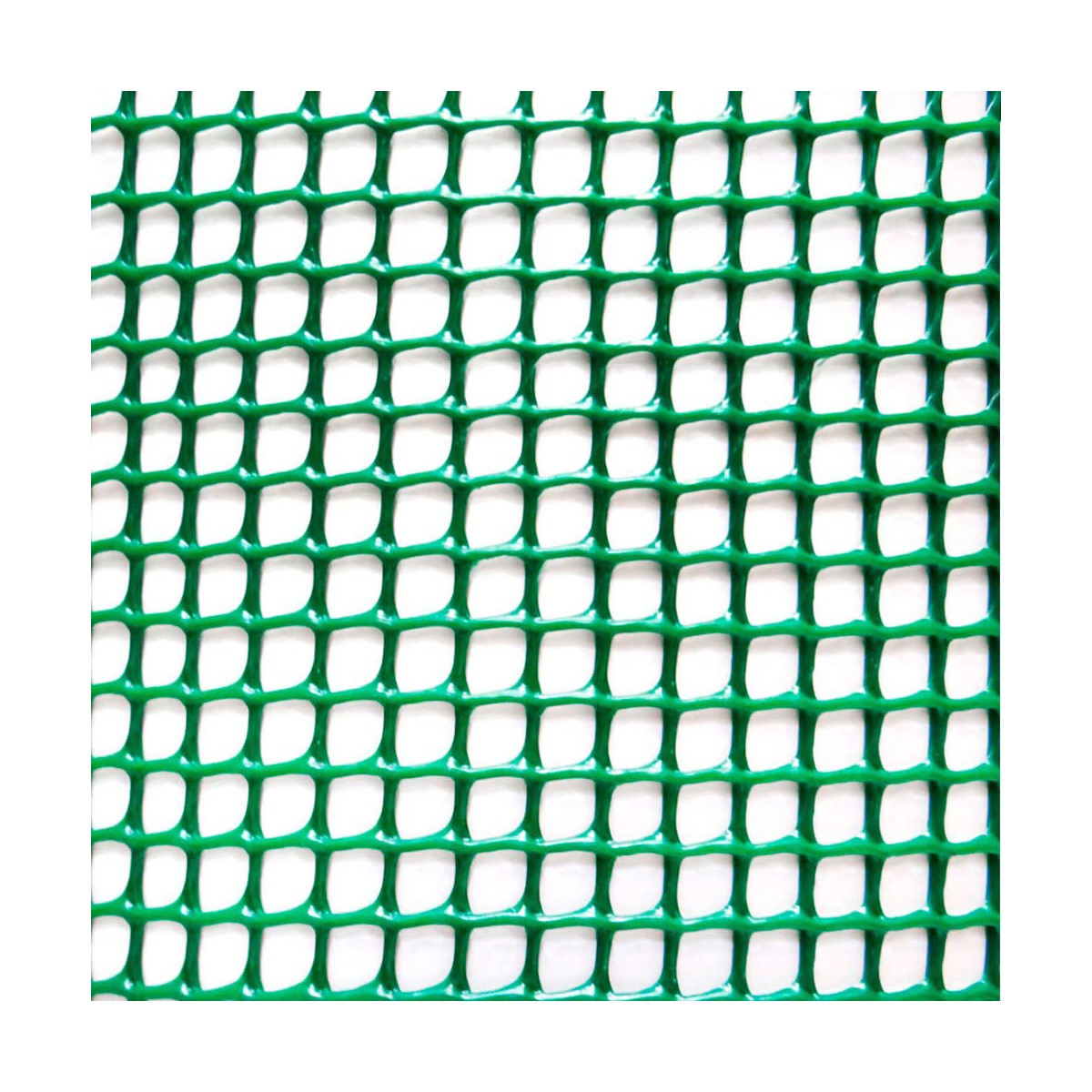 8413246080644_R0_WBG1