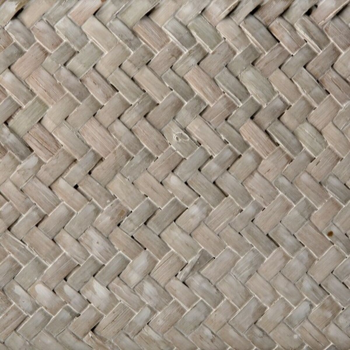 8420327467300_P31