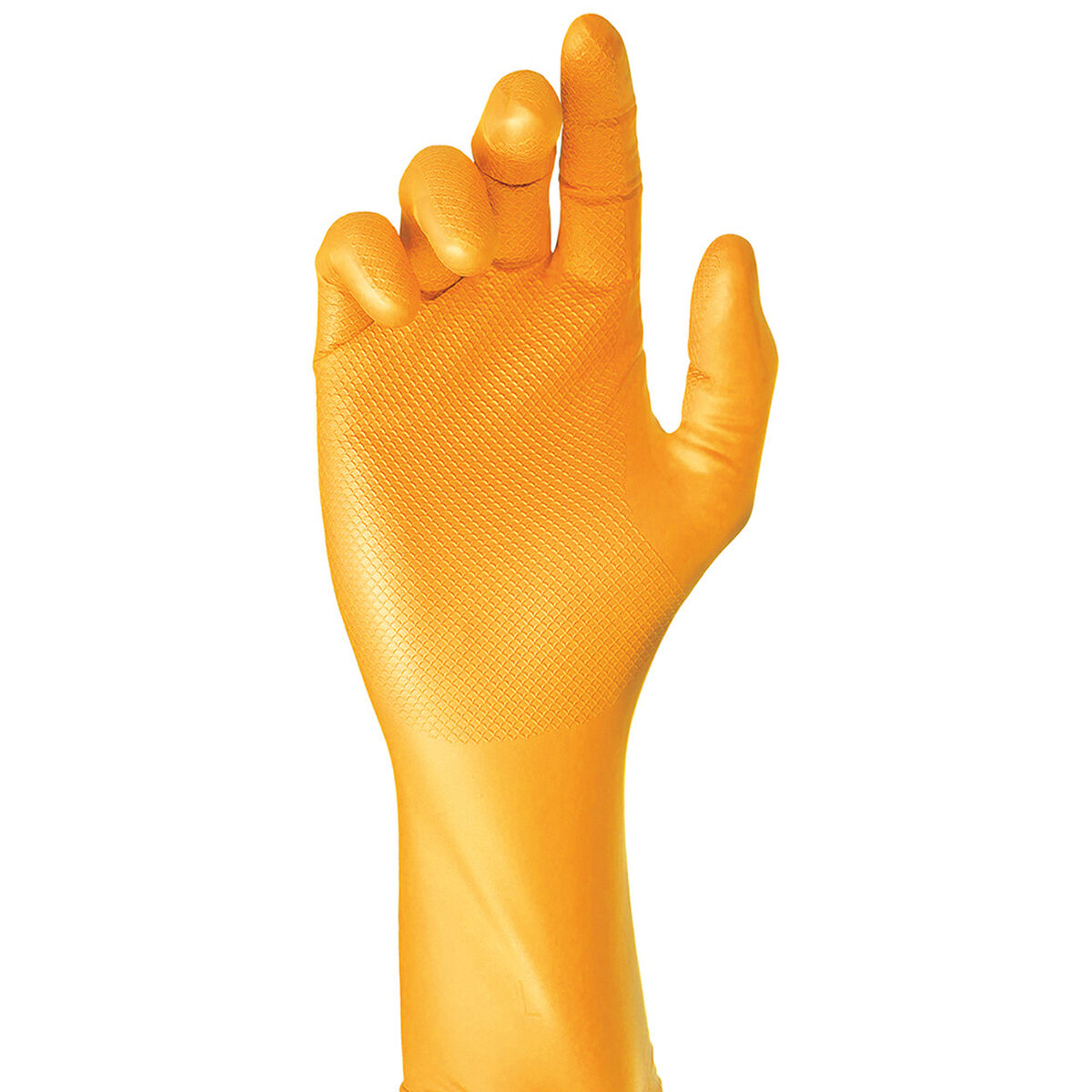 8423752202850_S7911358_P00