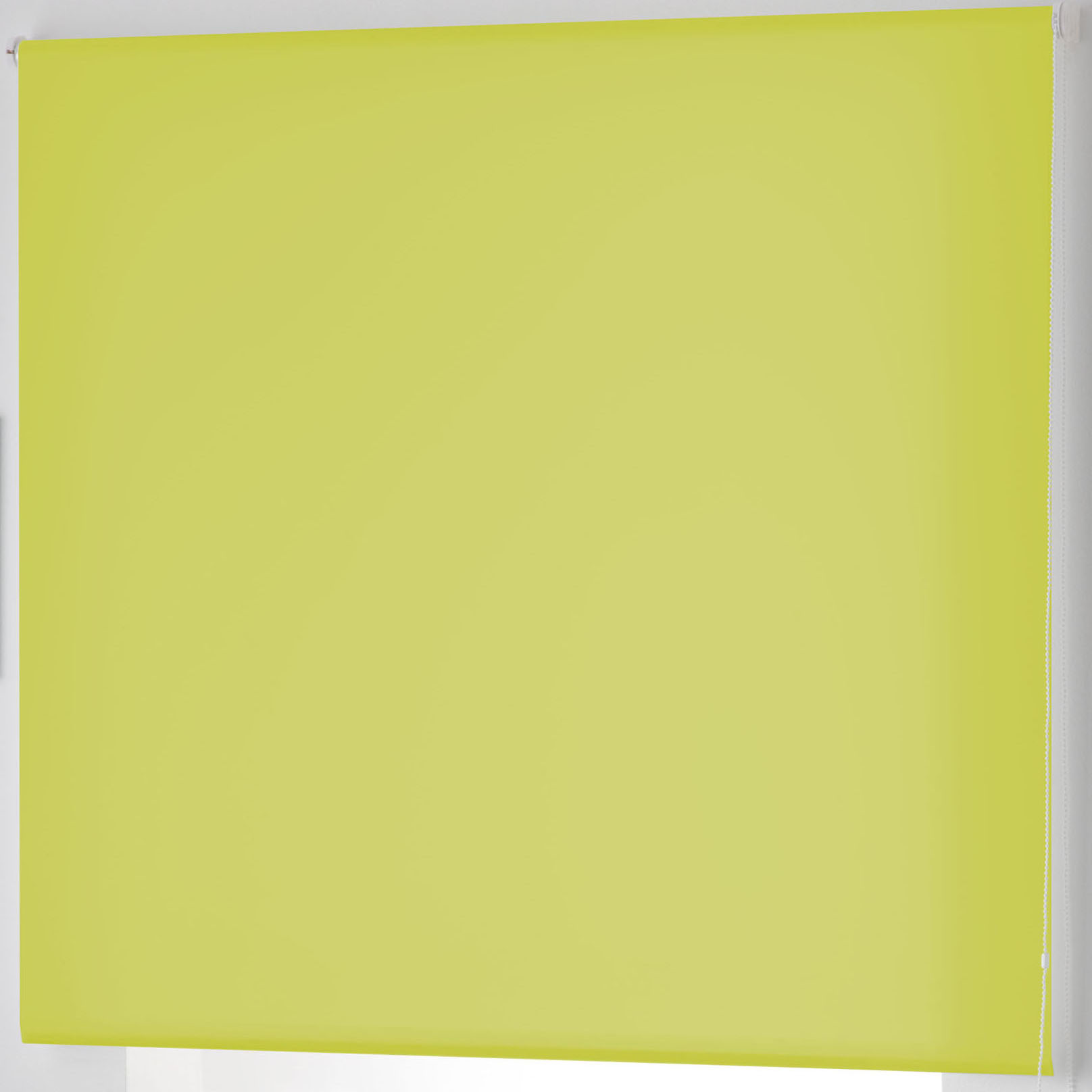 8434211263527_S2801290_P10