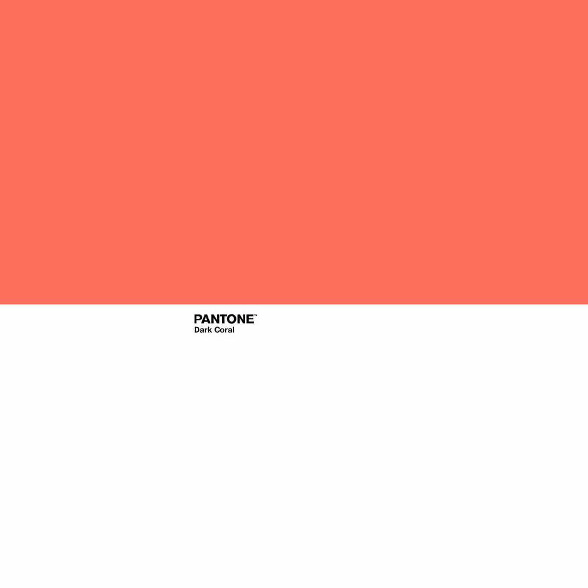 8445142039457_S2805236_P13