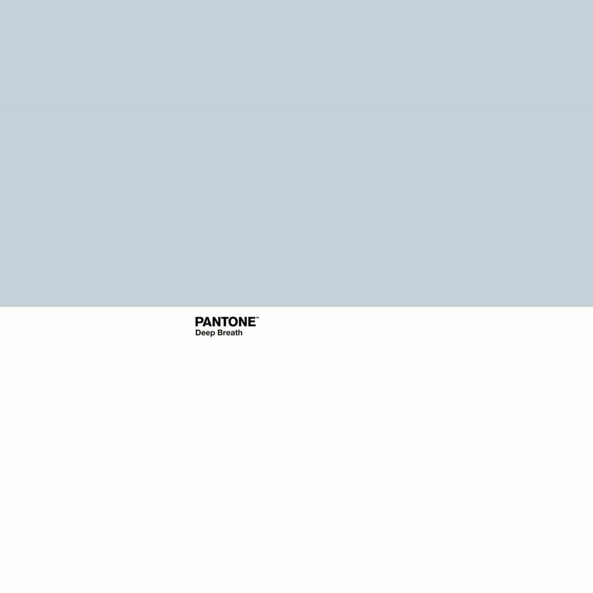 8445142038498_S2805220_P03