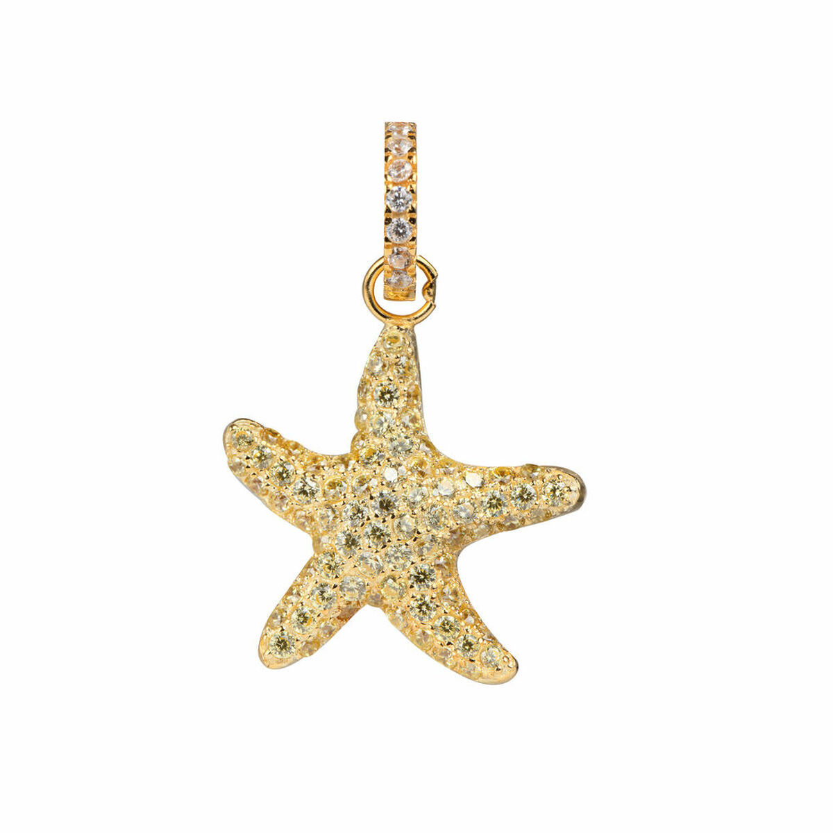 8059519897757_S0361340_P03