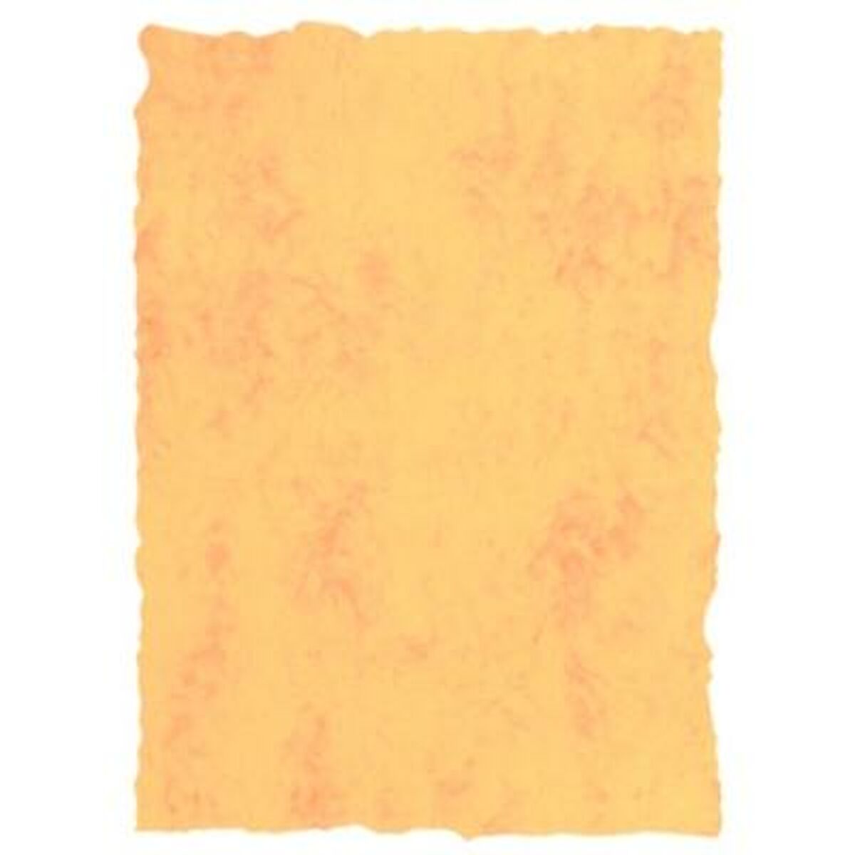 8422924555015_S8412828_P00