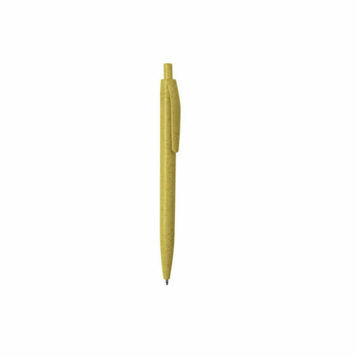 4899888263753_S1419333_P01