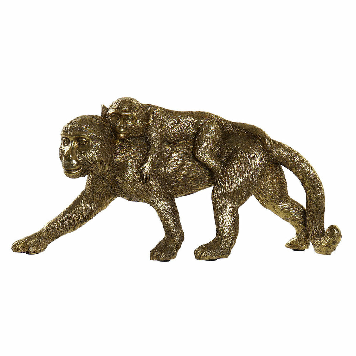 8424001813162_S3016903_P21