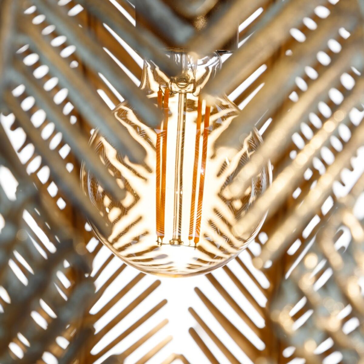 8424346513093_S8800209_P30