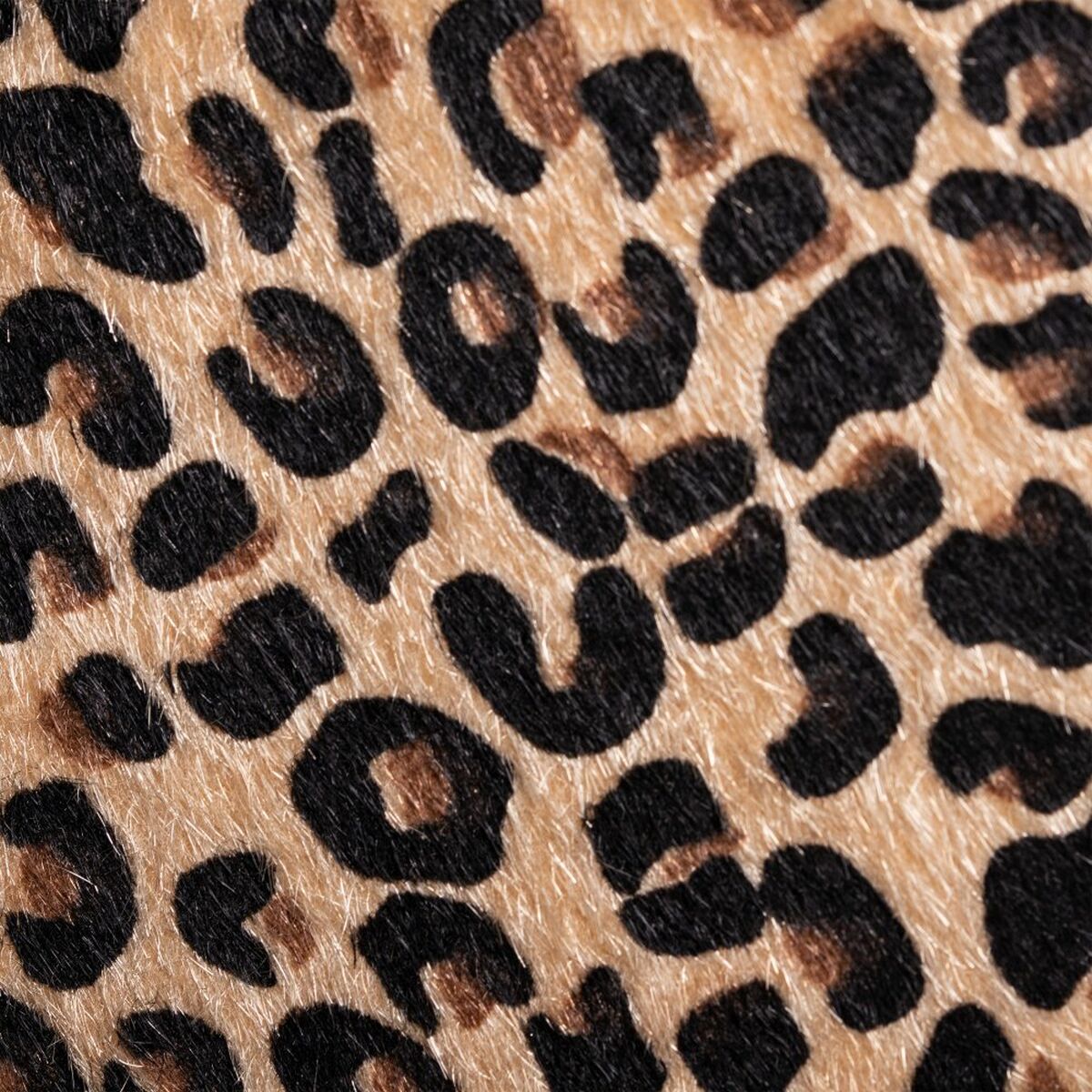 8424346543441_S8800357_P30
