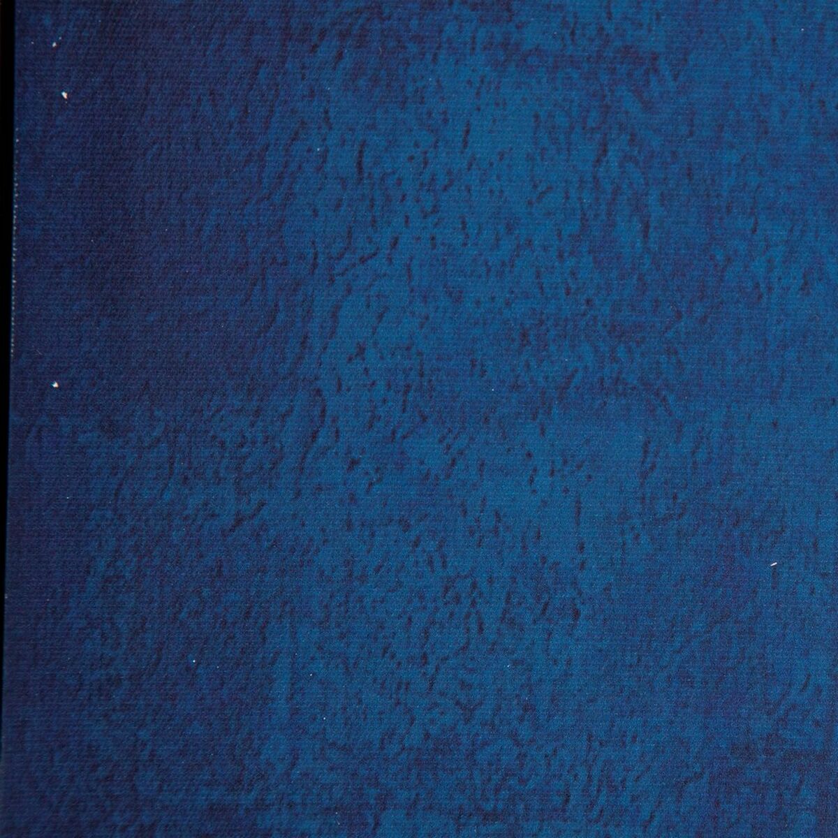 8445146016270_S8800598_P50