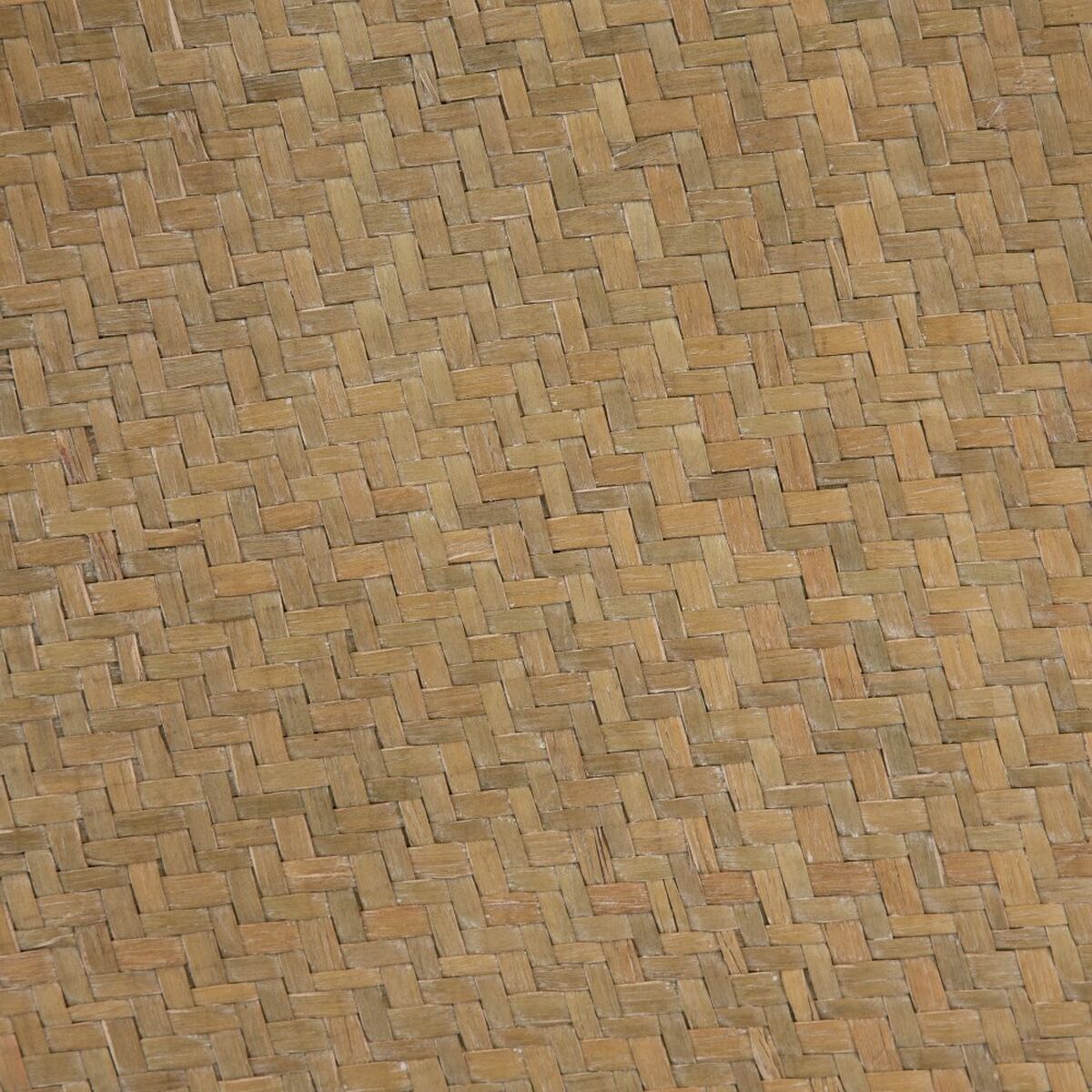 8445146045775_S8801356_P40