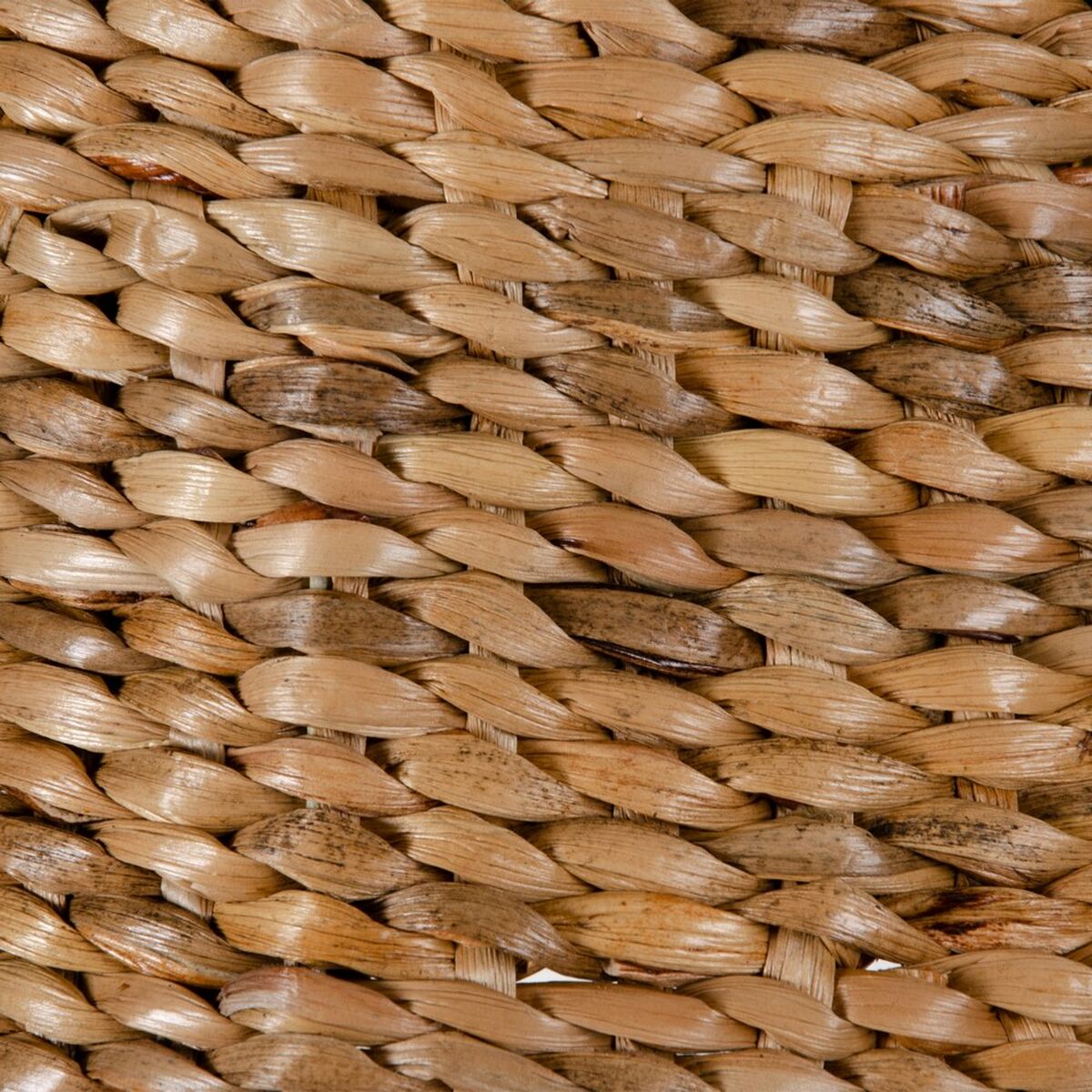 8445146015259_S8800581_P20