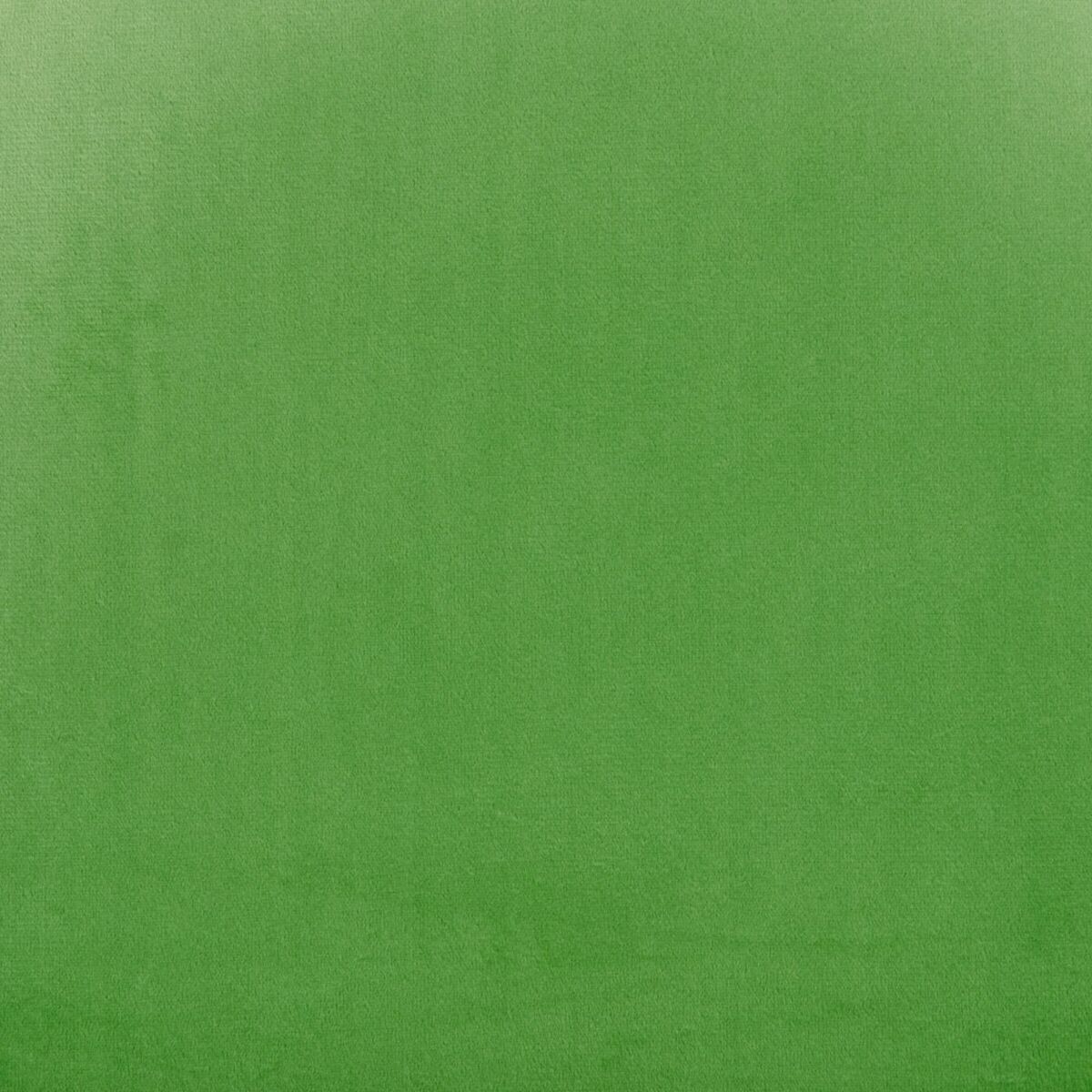 8445146033567_S8800939_P70